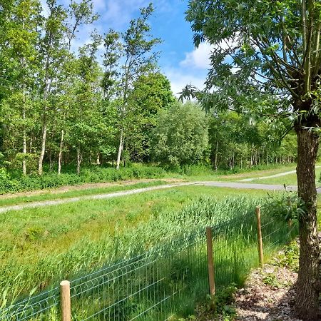 Wellnesshuis Met Hottub, Ligbad En Grote Tuin Vila Tzummarum Exterior foto